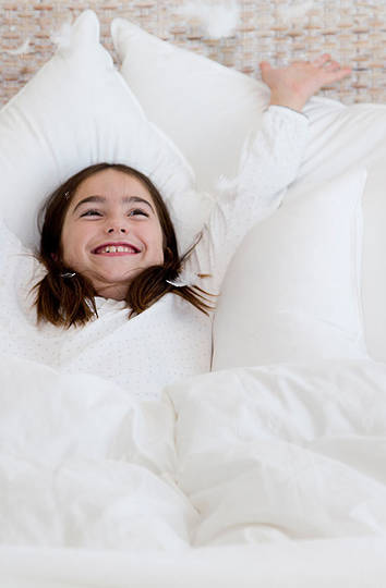 MM Down All Around Goose Feather & Down Pillow