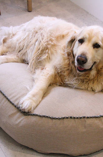 MM Linen - Kalo Natural Pet Bean Bed - Unfilled